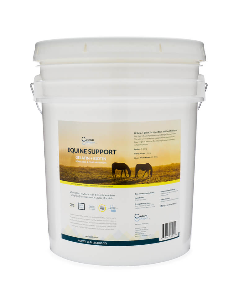 Biotin for Horses Order an Equine Support Gelatin & Biotin Supplement