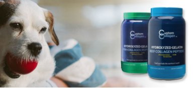 Collagen for Dogs — Why Collagen Supplements are Great for Puppies, Too