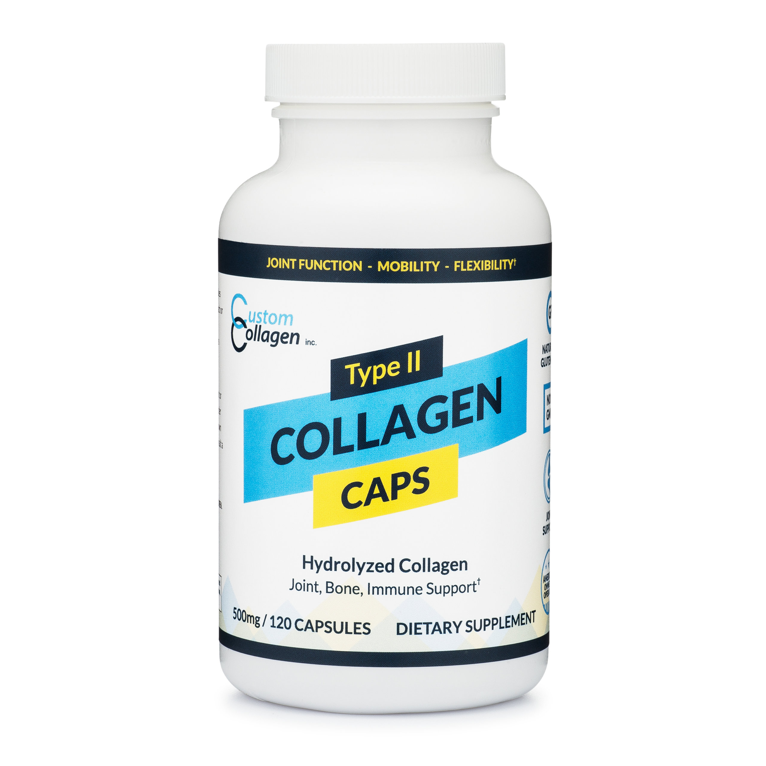 type 2 collagen in body